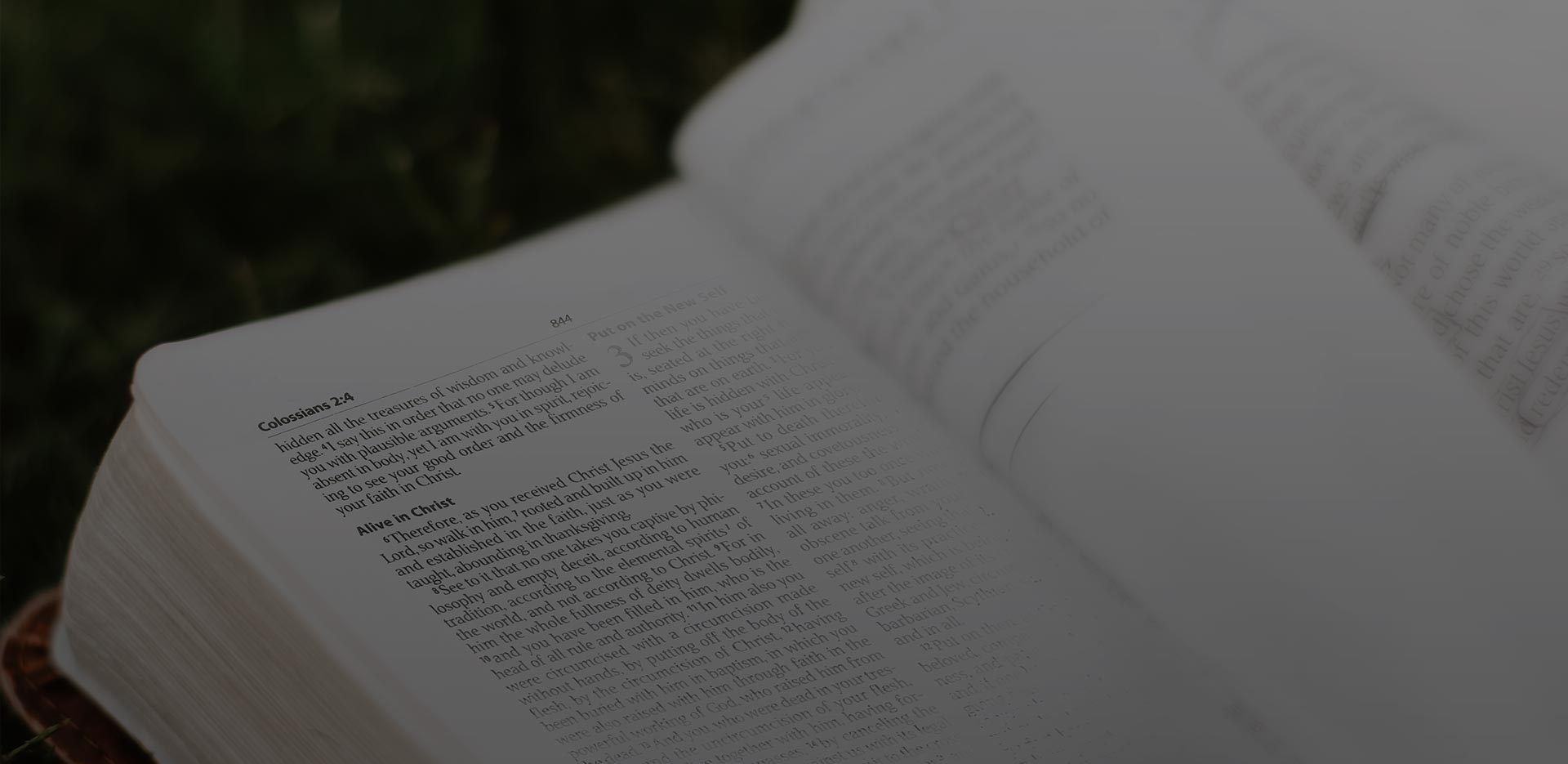 Navigators: The 2:7 Series – A Course in Personal Discipleship to